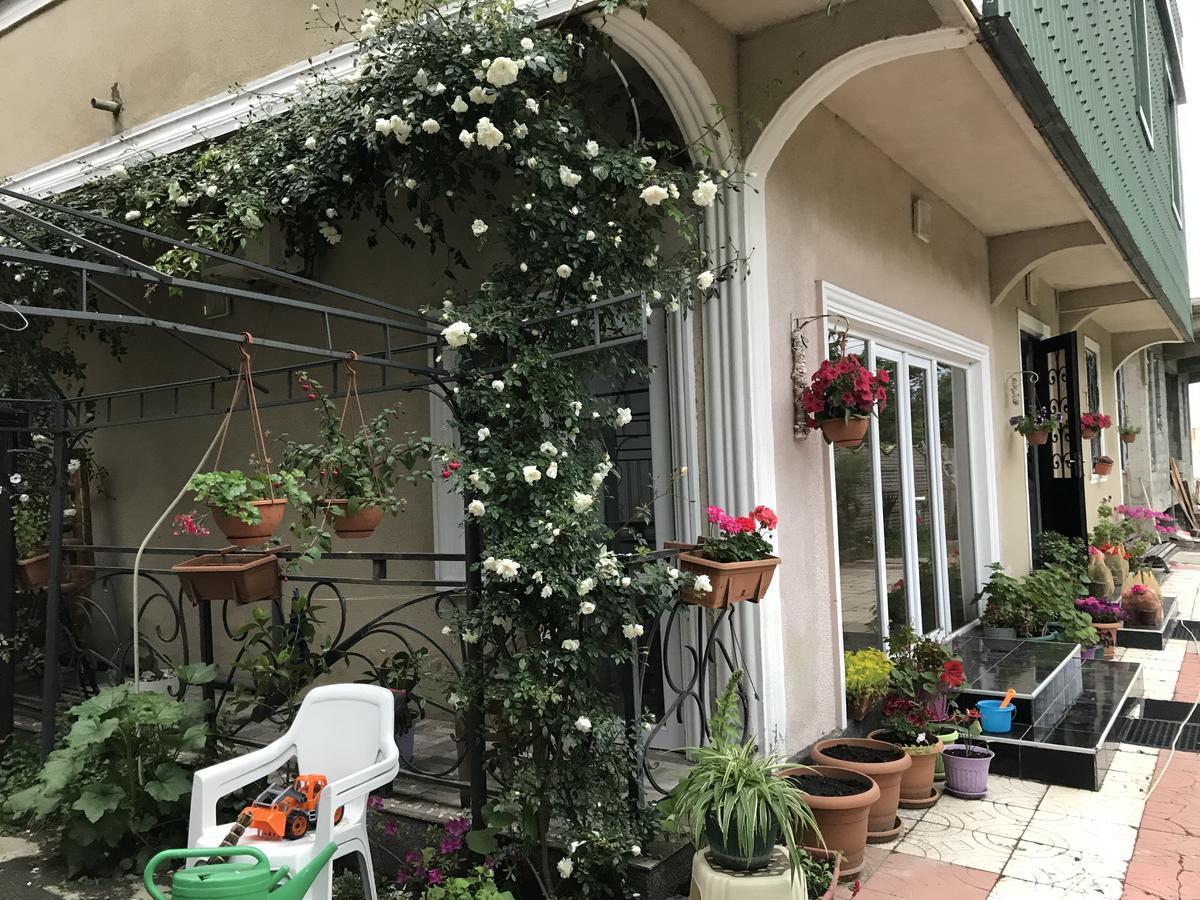 Appartement Natia 500